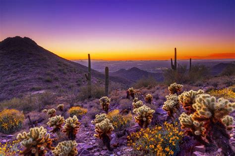 Reasons To Visit Scottsdale And The Sonoran Desert This Autumn