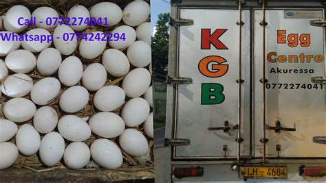 Kgb Egg Center Akuressa Akuressa