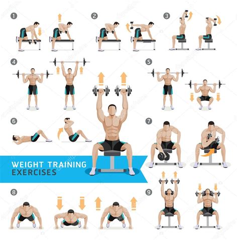 Vive Dumbbell Exercise Poster Home Gym Workout For Upper Lower Full Images