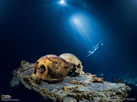 Light Skulls Nature National Geographic Underwater Snorkeling Cenote