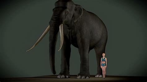 The Biggest Elephant Ever Palaeoloxodon Namadicus 3d Size
