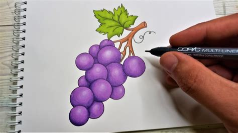 Desenez Fructe De Toamna Strugure 🍇 Desene De Toamna Usor De Desenat