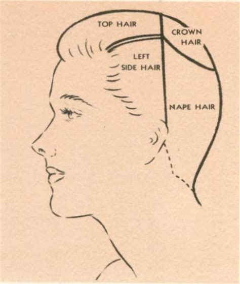 How To Partsection Hair For Vintage Hairstyles Basic Hair Parts