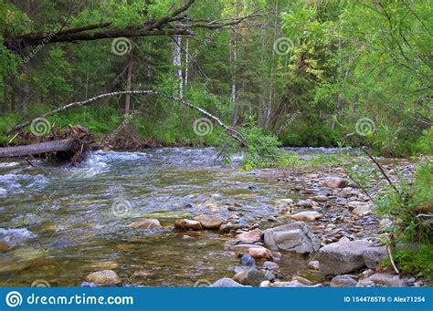 The Rocky Shore Of A Small Mountain River Sema Flowing Through The