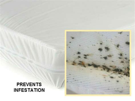 Bed Bug Mattress Encasement Saferest Premium Hypoallergenic