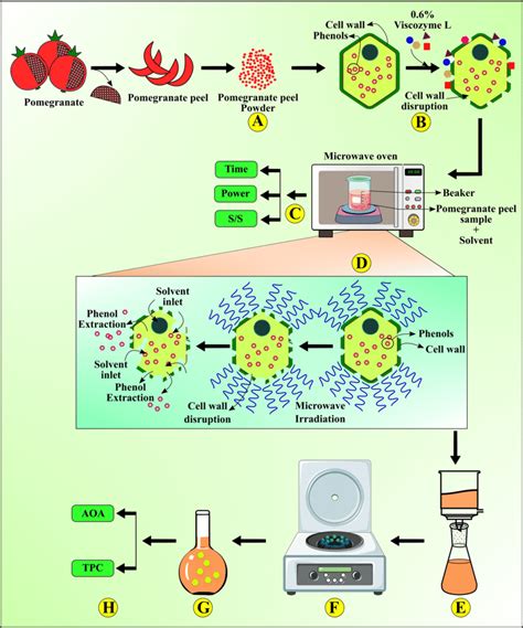 Schematic Diagram For The Cellulolytic Enzyme Assisted Microwave