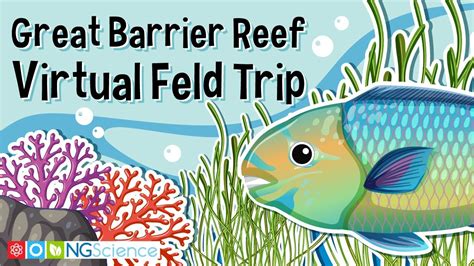 Great Barrier Reef Virtual Feld Trip Youtube