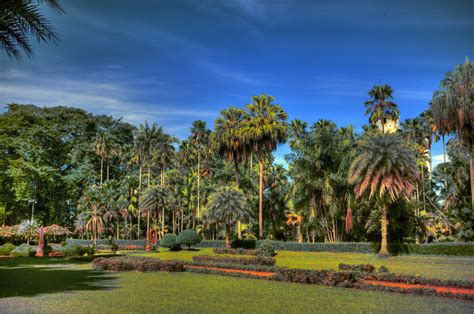 Alamat kebun raya bogor adalah di jalan ir. Kebun Raya Bogor (Bogor Botanic Garden), Bogor, Java - Ind… | Flickr