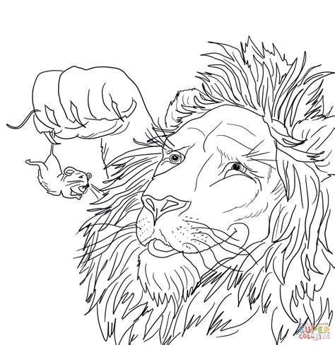Lion And Mouse Coloring Sheets In A Net Coloring Pages