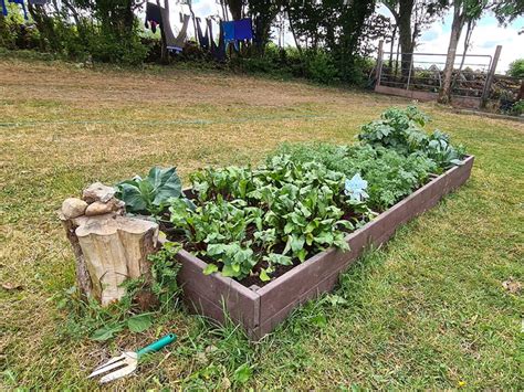 Raised Beds Option 2 Plastic Raised Beds Irish Recycled Products