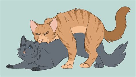 Rule 34 Ambiguous Gender Blue Eyes Cinderpelt Warriors Closed Eyes Domestic Cat Duo Felid