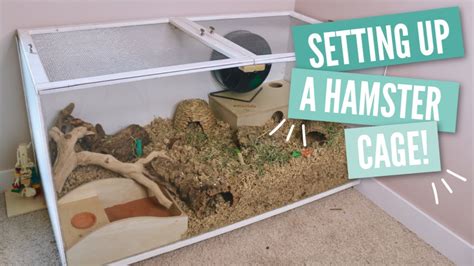 How To Setup A Hamster Cage HousePetsCare Com