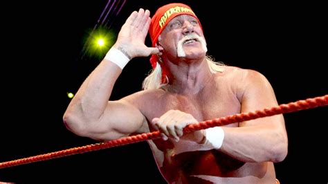Indemnizan Con 115 Millones De Dólares A Hulk Hogan Por Video Sexual Nvi Noticias
