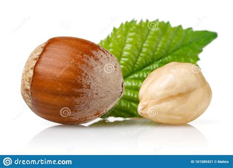 Group Of Hazelnuts With Green Leaf Isolated Stock Image Image Of
