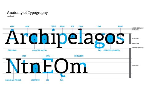 Anatomy Of Typography — Letter Features And Characteristics By Chris