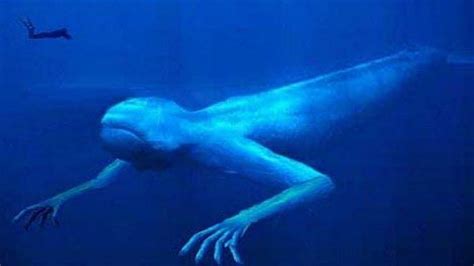 5 Mysterious Deep Sea Creatures Caught On Camera Youtube