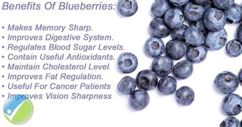 blueberries superfood benefits side effects dosage and more blueberries health benefits