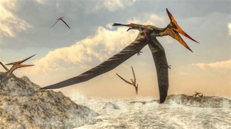 Archaeology Researchers Find Pterosaur Precursors That Fill A Gap In Early Evolutionary History