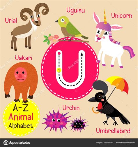 Cute Children Zoo Alphabet U Letter Tracing Of Funny Animal Cartoon For