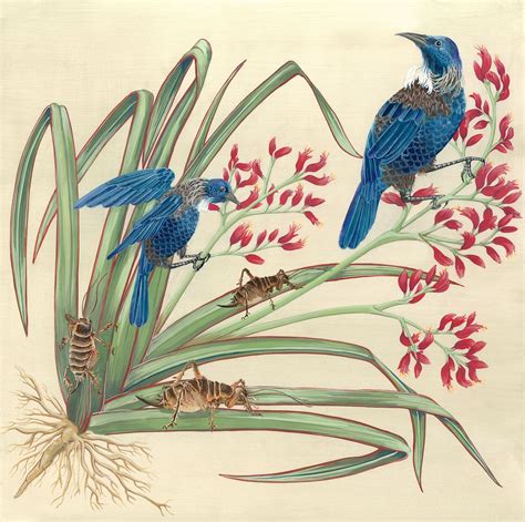 Joseph Banks | Illustrators, Botanical illustration, Illustration
