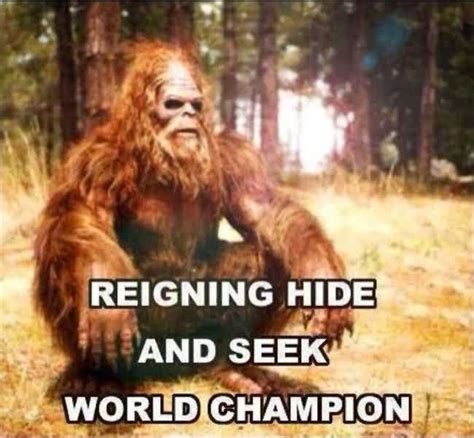 15 Top Funny Bigfoot Meme Jokes And Pictures Quotesbae
