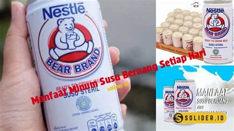 Temukan Manfaat Minum Susu Beruang Setiap Hari Yang Jarang Diketahui