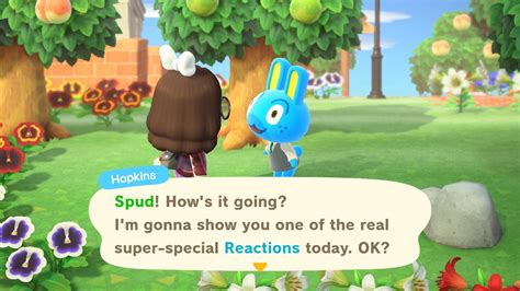An Animal Crossing New Horizons Guide to Things to Do ...
