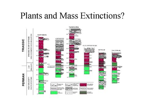 Plants And Mass Extinctions