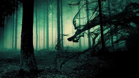 Scary Forest Wallpaper Wallpapersafari