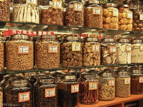 The 15 top chinese herbs and superfoods. Do Chinese Herbs Really Work? - Life Exact