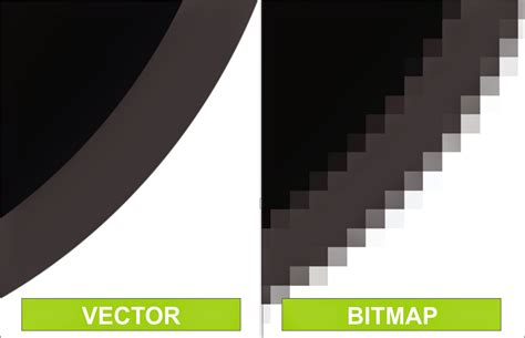 Perbedaan Antara Vector Dengan Bitmap Allukman Design