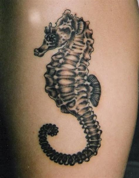 Sea Horse Tattoo Seahorse Tattoo Tattoos Leg Tattoos Women