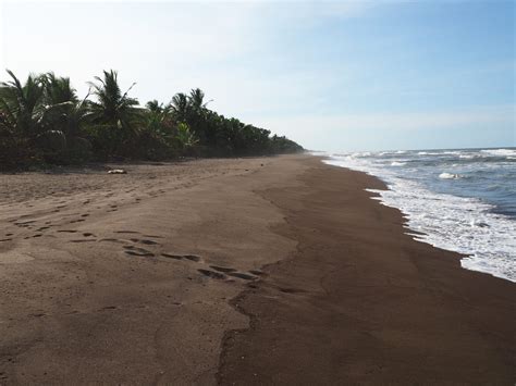 Top 8 Caribbean Beaches Of Costa Rica Tiny Travelogue
