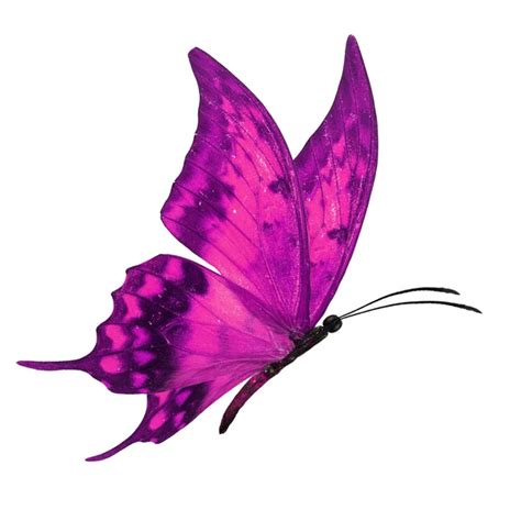 Purple Butterfly Flying Stock Photo By ©thawats 91371370