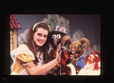 The Muppet Show Brooke Shields Great Gonzo Original 35mm Transparency