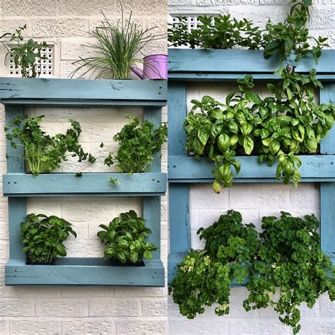 Living wall // herb garden // pallet garden | Herb garden wall, Herb garden pallet, Pallets garden