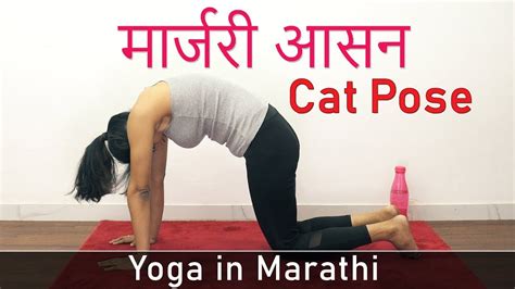 Yoga In Marathi Cat Pose Yoga Asana Marjariasana In Marathi Yoga