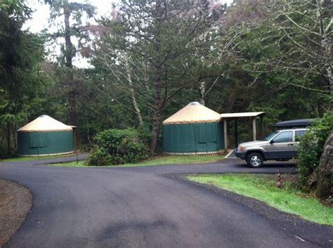 Campfires and other open flame fires are once again permitted on the beaches of cape lookout national seashore. Yurts - Picture of Cape Lookout State Park, Tillamook ...