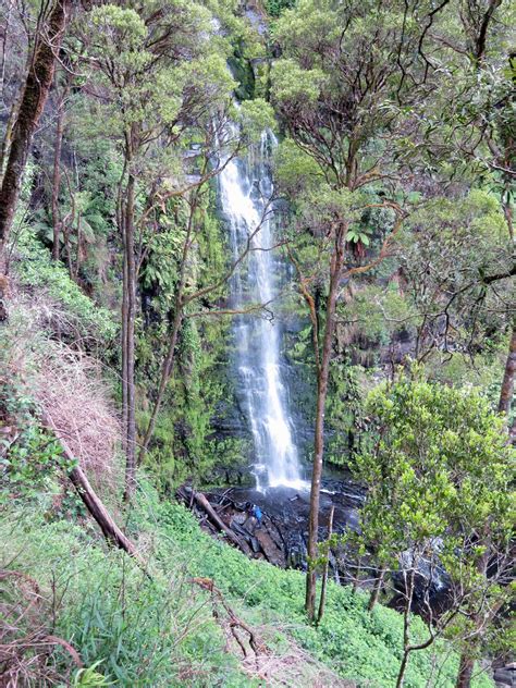 Best Great Otway National Park Walks From Lorne Erskine Falls And More