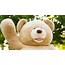 Baby Giant Teddy Bear Costco Viral Facebook