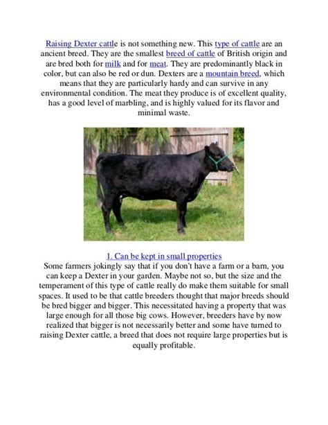 Intensive animal farming or industrial livestock production, also known by its opponents as factory there is a continuing debate over the benefits, risks and ethics of intensive animal farming. #Benefits of #raising dexter #cattle http://www.slideshare ...
