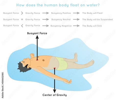 How Does Human Body Float On Water Infographic Diagram Showing Buoyant