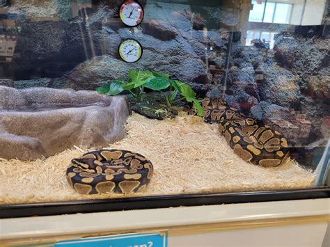 Saw this at a local petco next to my job : r/petco