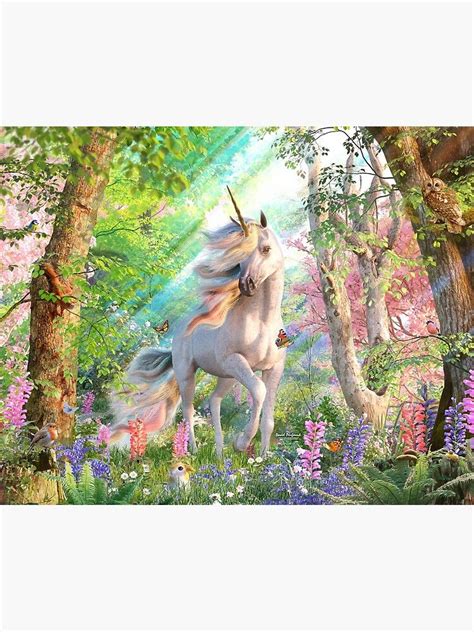 Unicorn Enchanted Forest Poster By David Penfound Enchanted Forest