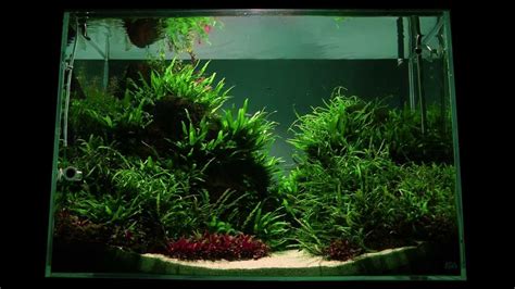 Nice red lava aquarium rock with hole aquascape fish tank: Altitude Aquascape by James Findley - The Making Of - YouTube