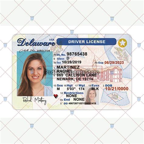 Delaware Driver License Template Psd Doc Store