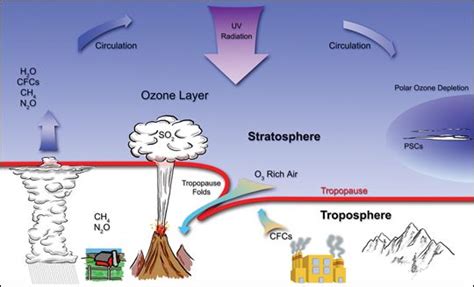 Stratospheric Ozone Processes Ozone Depletion Ozone Layer Ozone