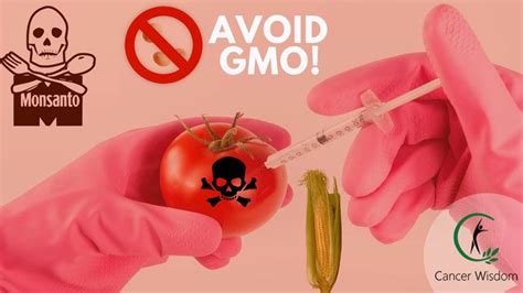 Gmo Health Risks You Need To Be Aware Of Cancer Wisdom