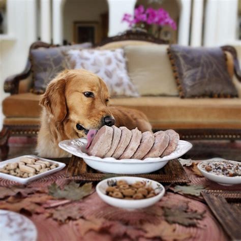 It is made from whole foods sourced entirely from the farms and waters of new these whole foods are complemented with vitamins and minerals to ensure the food is complete and balanced for all life stages. Frozen Raw Dog Food (With images) | Raw dog food recipes ...