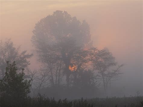 Foggy Sunrise Smithsonian Photo Contest Smithsonian Magazine